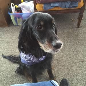 Meet your Posher, Peggy